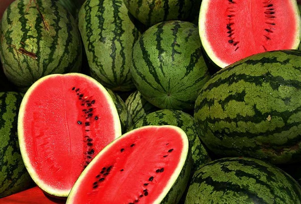 Watermelon can significantly reduce blood pressure: study