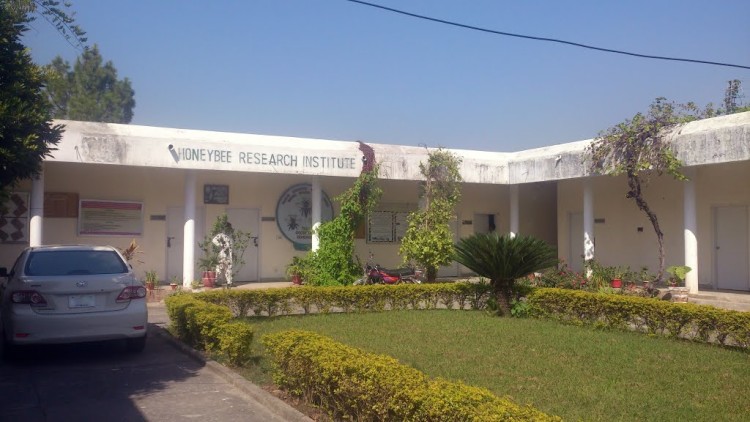 National Agriculture Research Center's (NARC) Honey Bee Research Institute Islamabad
